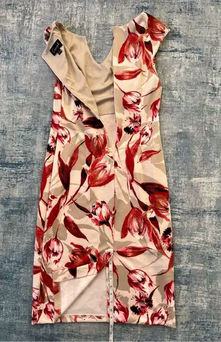 Connected Apparel Off White Taupe Red Floral Sleeveless Dress Size 4