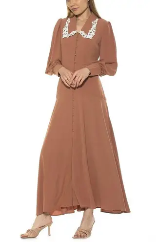 Alexia Admor MAXI SHIRT DRESS SIZE 4