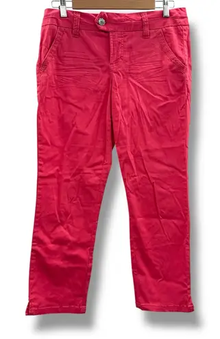 BKE Payton Straight Leg Pants Women’s Size 27 Pink Casual Stretch Mid Rise