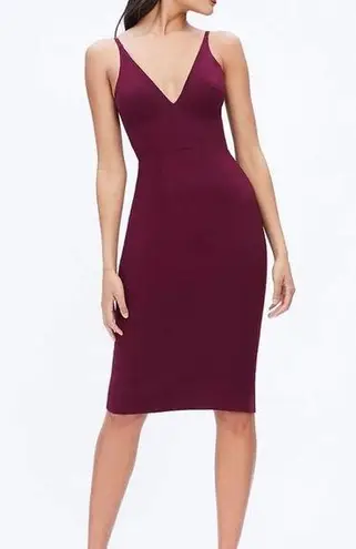 Dress the Population Lyla Purple Burgundy Plunging Sleeveless Bodycon Dress