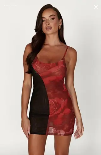 Meshki Two Tone Mesh Mini Dress - Oversized Rose Print