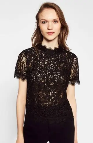 ZARA Trafaluc Black Lace Sheer Top Size Medium