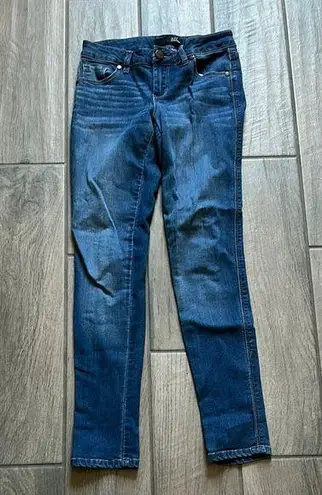 1822 Denim Blue Skinny Jeans