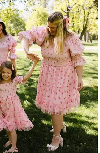 Ivy City Co Jess Dress Strawberry Fields Size XXS Tulle Stretch Smocked Tiered Pink