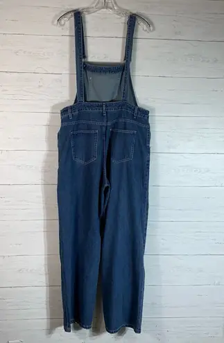 Dazy Interesting Person denim overalls size XXL juniors (waist 34")