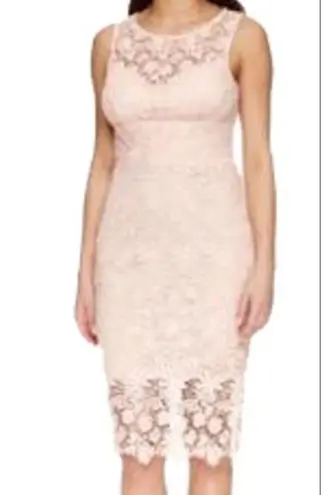 Bisou Bisou  Blush Pink Lace dress sz 8