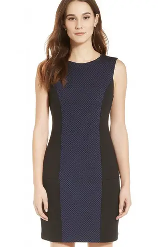 Daisy Fuentes Fit and Flare Dress - Black and Blue - Size 10