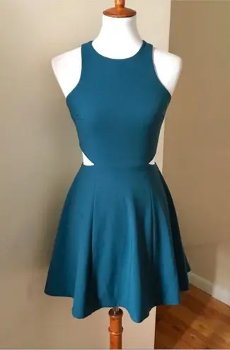 Elizabeth and James RTR Emorie Dress size 2 (XS)