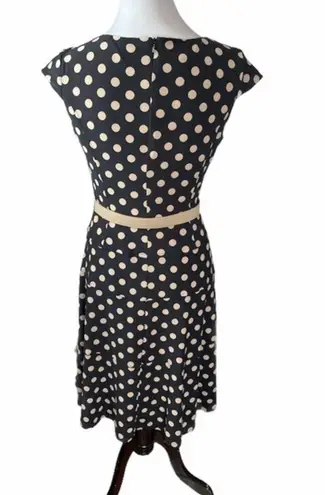 Jones Studio Dress Barn Polka Dot Dress, Black