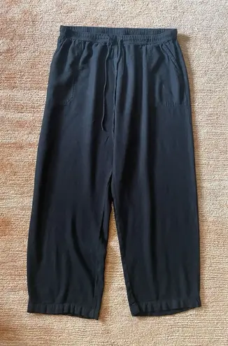 Passports Black Linen Blend Pants Size L Elastic Waist Relaxed Fit Drawstring Black Size L