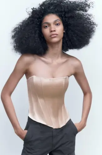 ZARA NWT SATIN beige/pink corset TOP. Size medium. - $60 (40 ZARA NWT SATIN beige/pink corset TOP. Size medium. - $60 (40