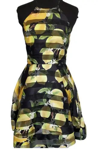 2bella Boutique Floral Lemon Dress