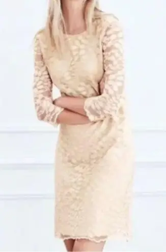 Garnet Hill Gold Sheath Dress 3/4 Sleeve Crew Neck