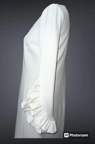 Katherine Barclay NWT Hilary Radley for Woven Ruffle Sleeve Lined Dress $168