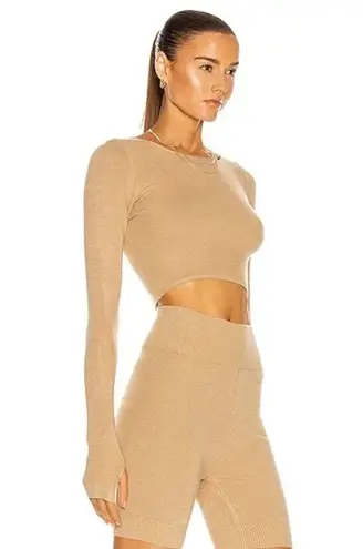 Atoir Noah Knit Shorts in Sepia X