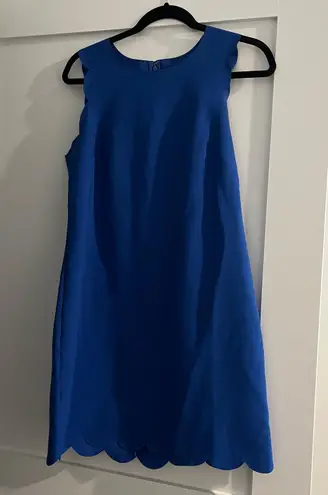 J.Crew  Cobalt Blue Scalloped Sleeveless Shift Dress - Size 8