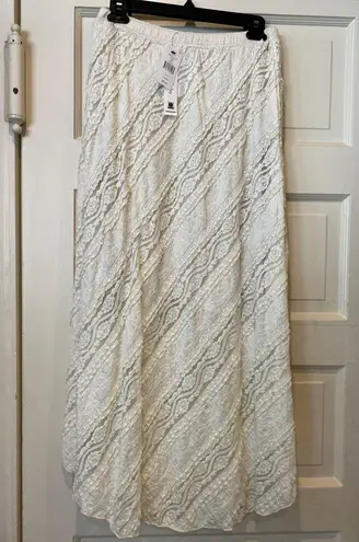 Willow & Clay Asymmetric Hem Lace Skirt