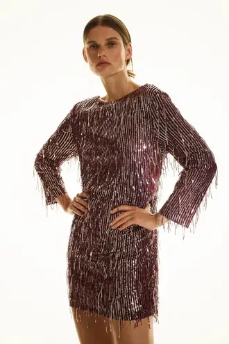 ZARA NWT Festive Burgundy Fringed Sequin Dress Size XS 81 New With Tags From Kare