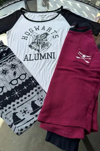 Harry Potter Quidditch Long Sleeve Pullover Top in Burgundy/Gray - Small