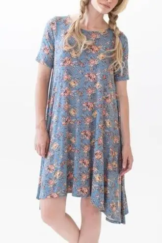 Agnes & Dora Floral Scoop Neck Short Sleeve Sway Midi Shift Dress Size XL FLAW