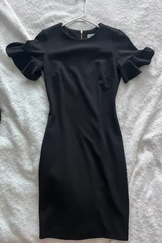 Calvin Klein Professional Dress