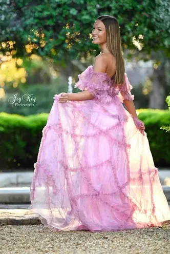 Coya Collection Dillards Pink Floral Chiffon Gown