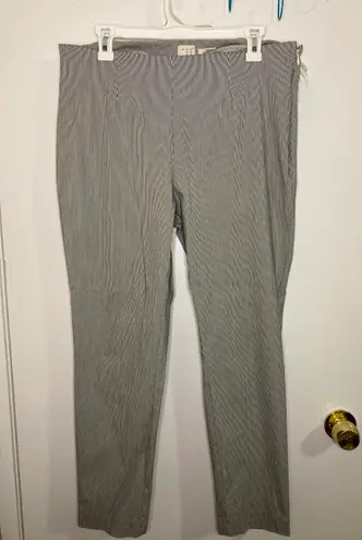 A New Day Dress Pants