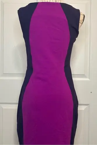 Cynthia Rowley  Fitted Sheath Dress