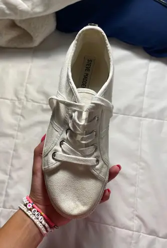 Steve Madden Elore Sneaker