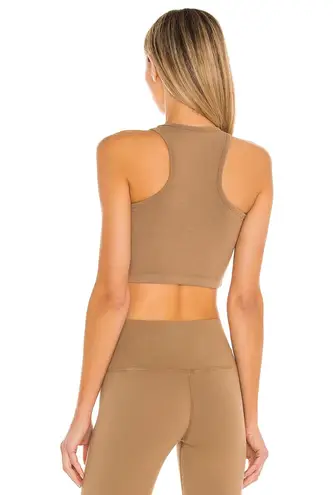 Electric And Rose Brown Athletic Crop Top