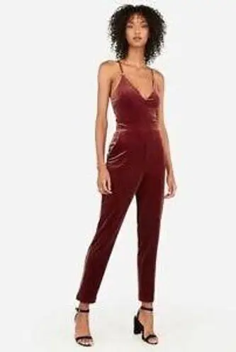 EXPRESS Mauve Velvet Jumpsuit - Image 1