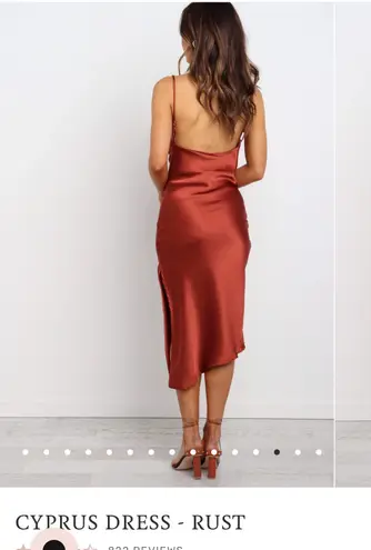 Petal and Pup Rust Midi Dress