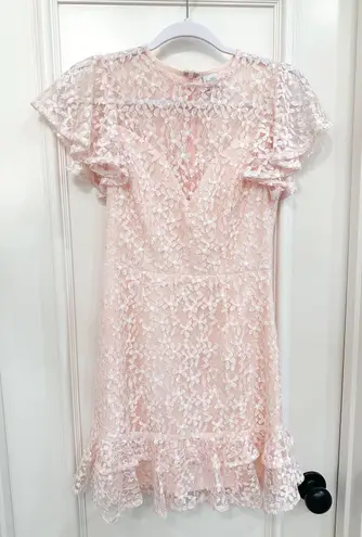 Selfie Leslie LARK CREW NECK RUFFLE SLEEVE DRESS LACE OVERLAY PINK