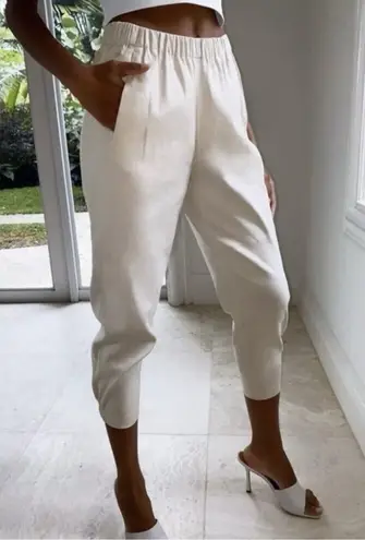 Babaton Dexter Linen Blend Trouser Ankle Pants Small Ivory Quiet Luxury Neutral