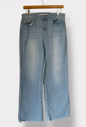 Joes Jeans pinstriped mom capri size 29 Blue