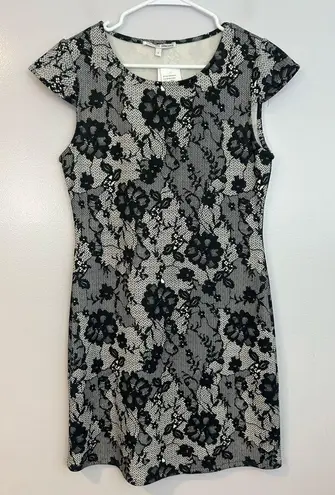 Collective Concepts NWT Black/White Lace Illusion Cap Sleeve Sheath Dress Large