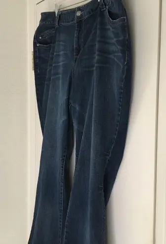 Lane Bryant  Distinctly boot cut jeans size 22