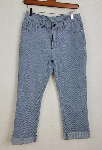 Diane Gilman Womens Jeans Size 8 Blue Denim Striped Cuffed Baggy