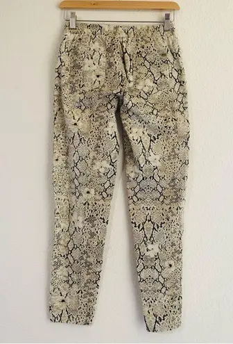 Spell & The Gypsy Collective SPELL // Aloha Python Jets