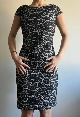 Tommy Hilfiger Lace Cocktail Dress Size 8