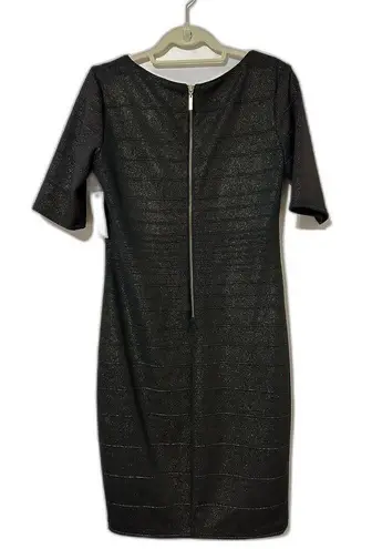 Bisou Bisou  Black Dress with Gold shimmer Size 10 NWT