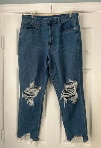 American Eagle Outfitters Aejeans Mom Jeans