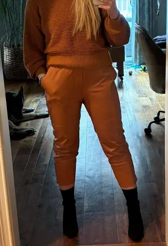 Genuine Sheepskin Leather Pull On Pants in Caramel XS Brown