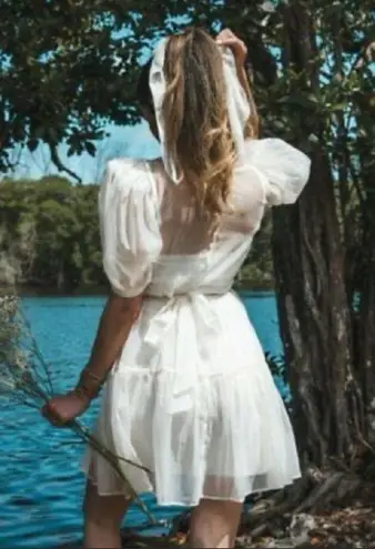 We Wore What Danielle Bernstein Puff Sleeve sheer dress