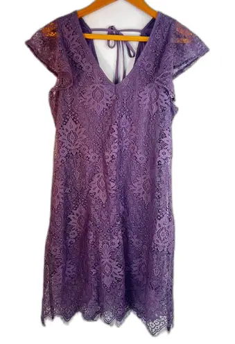Francescas Lace Flutter Sleeve Vneck Aline Dress Fairy Whimsy Feminine Size LG Purple