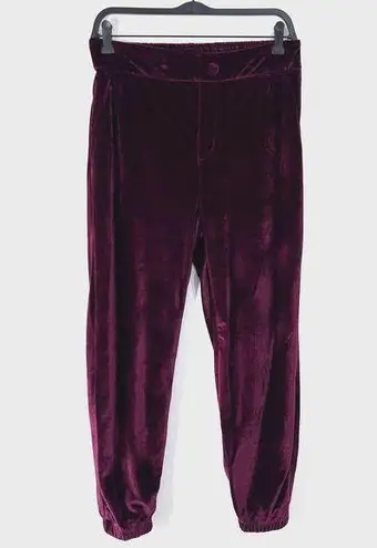 OAT New York Slim Velour Jogger Pants Womens Medium Cherry Elastic Waist & Ankle
