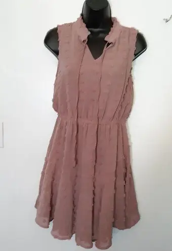 Sweet Wanderer swiss dot flounce dress