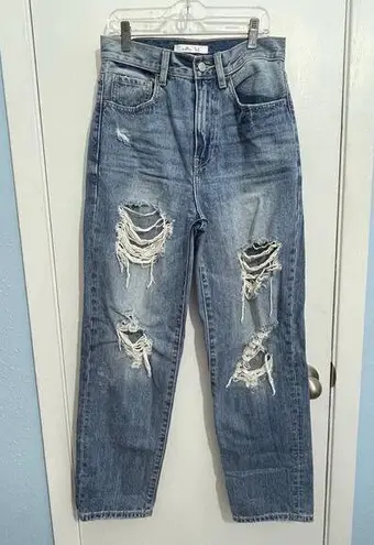 Willow & Root Jeans Size 26 High Rise Vintage Dad Jean Distressed Festival Blue