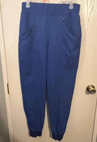 Hanes Blue Scrub Pants