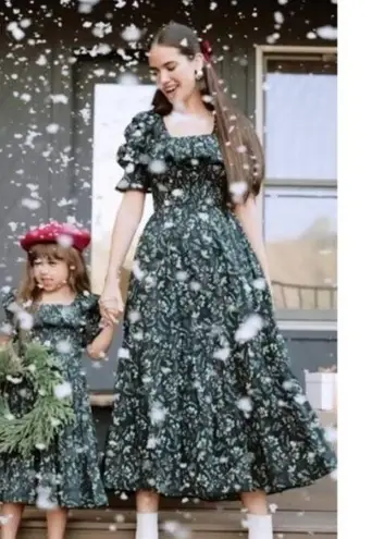 💕IVY CITY CO💕 Gracie Dress ~ Holly Print XXS NWT Green